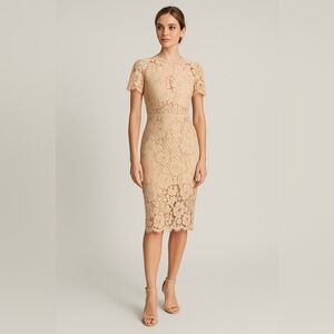 NSR Lace Floral Short Sleeve Sheath Midi Dress
